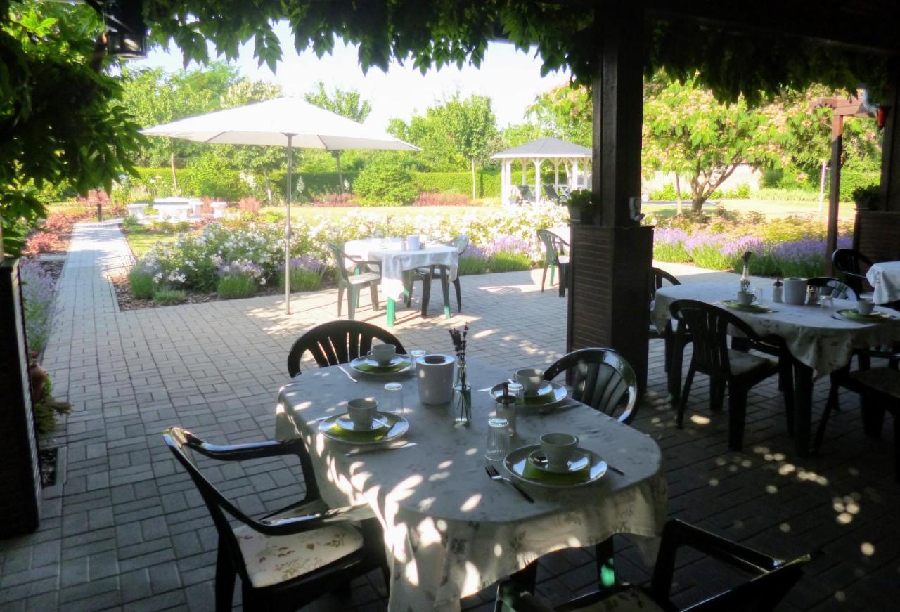 Tisza Lodge B&B - Panzio Tiszaderzs Esterno foto