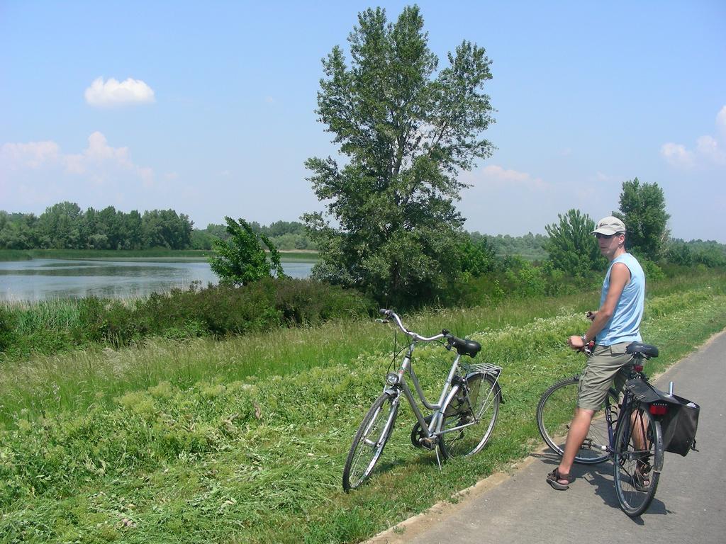 Tisza Lodge B&B - Panzio Tiszaderzs Esterno foto