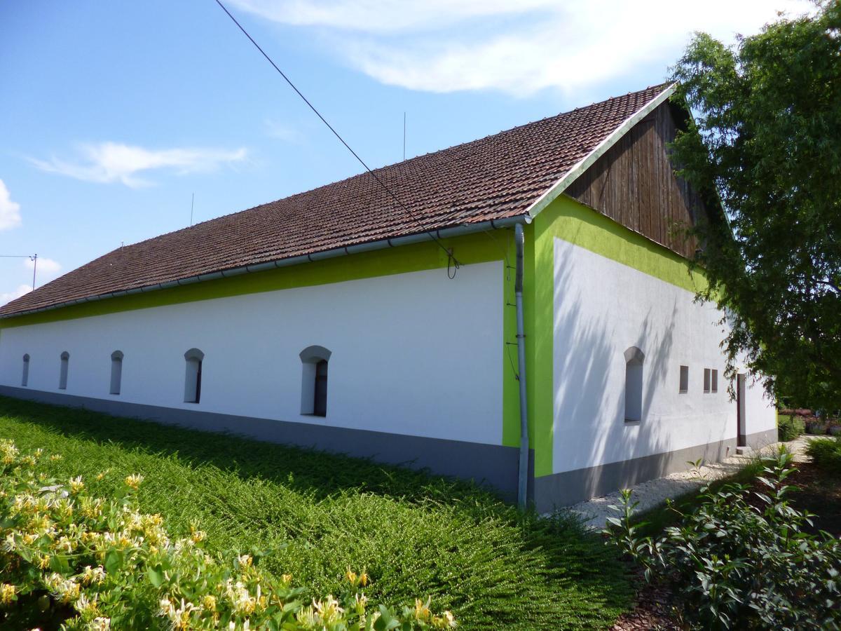 Tisza Lodge B&B - Panzio Tiszaderzs Esterno foto